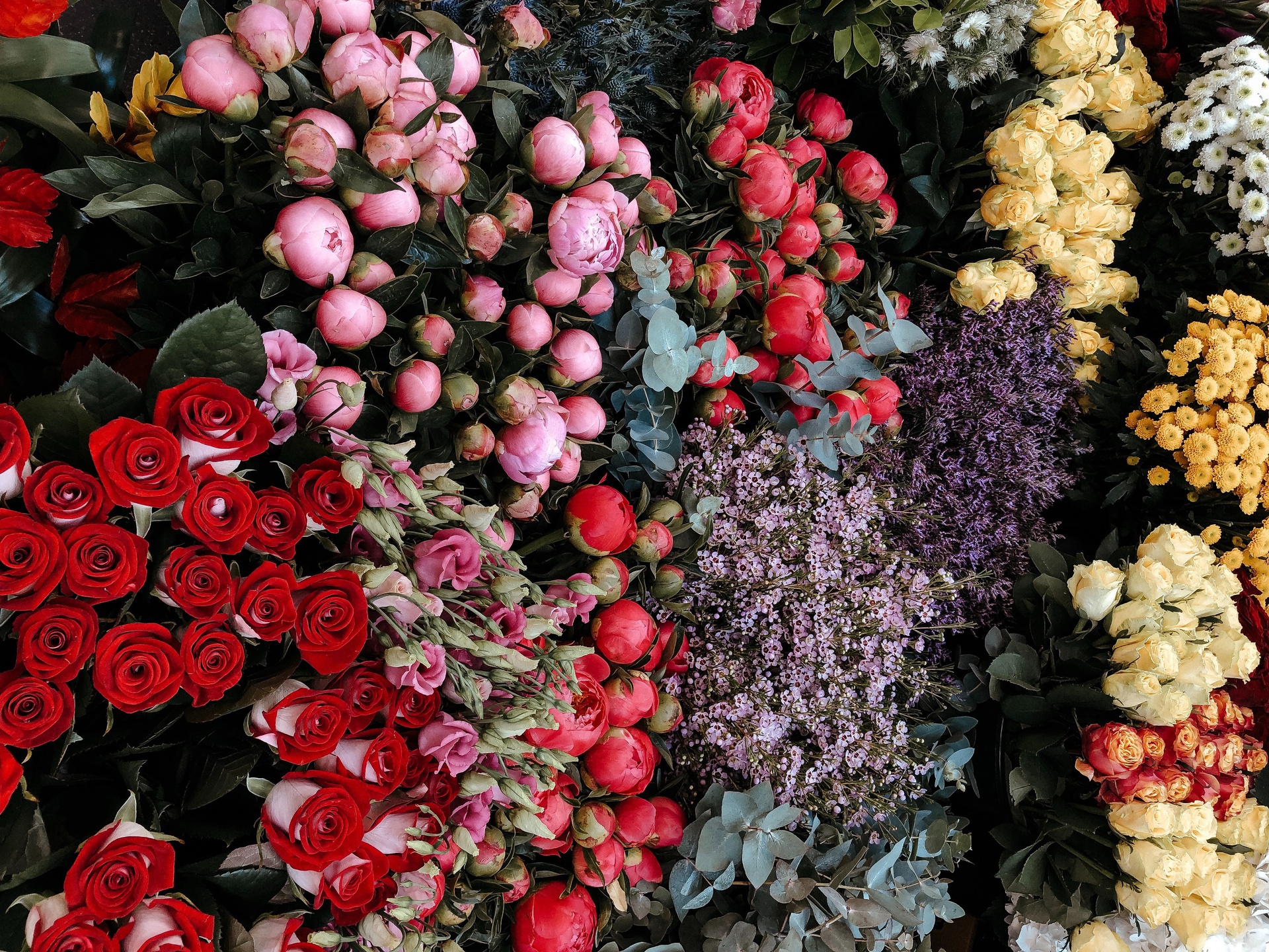 上海小程序開發(fā)，上海鮮花批發(fā)商城小程序開發(fā)，擁抱行業(yè)新機(jī)遇