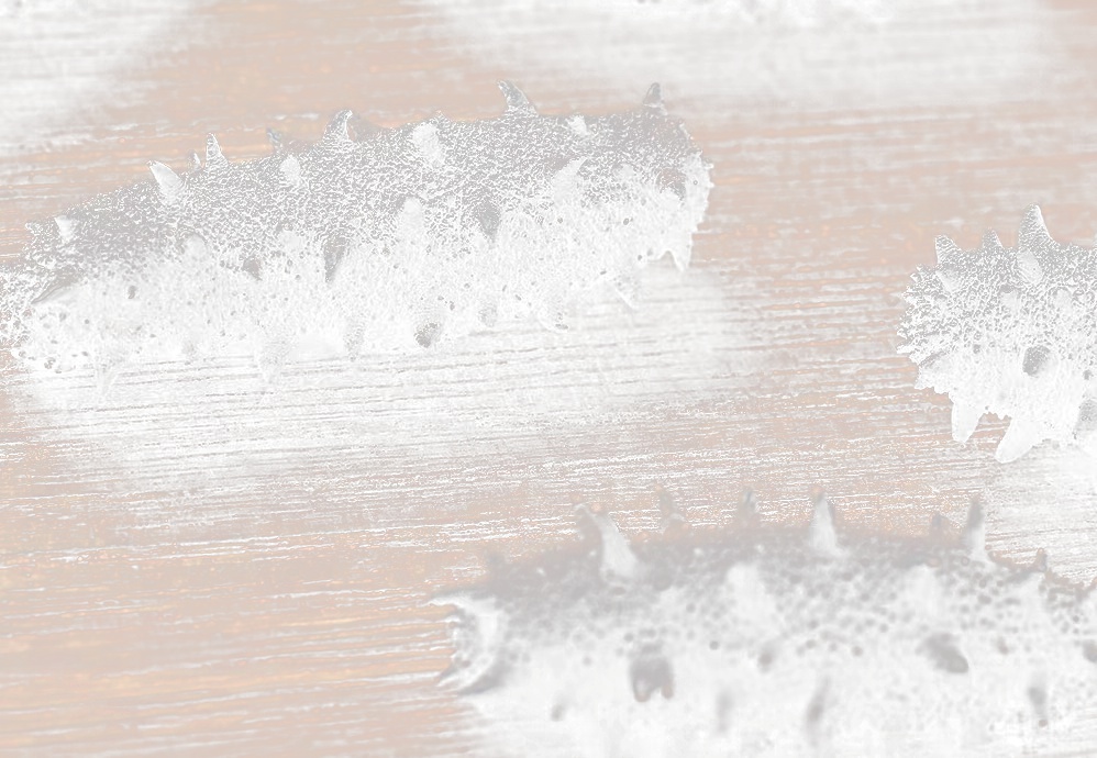 北京小程序開發(fā)，海參電商小程序開發(fā)該如何運營？