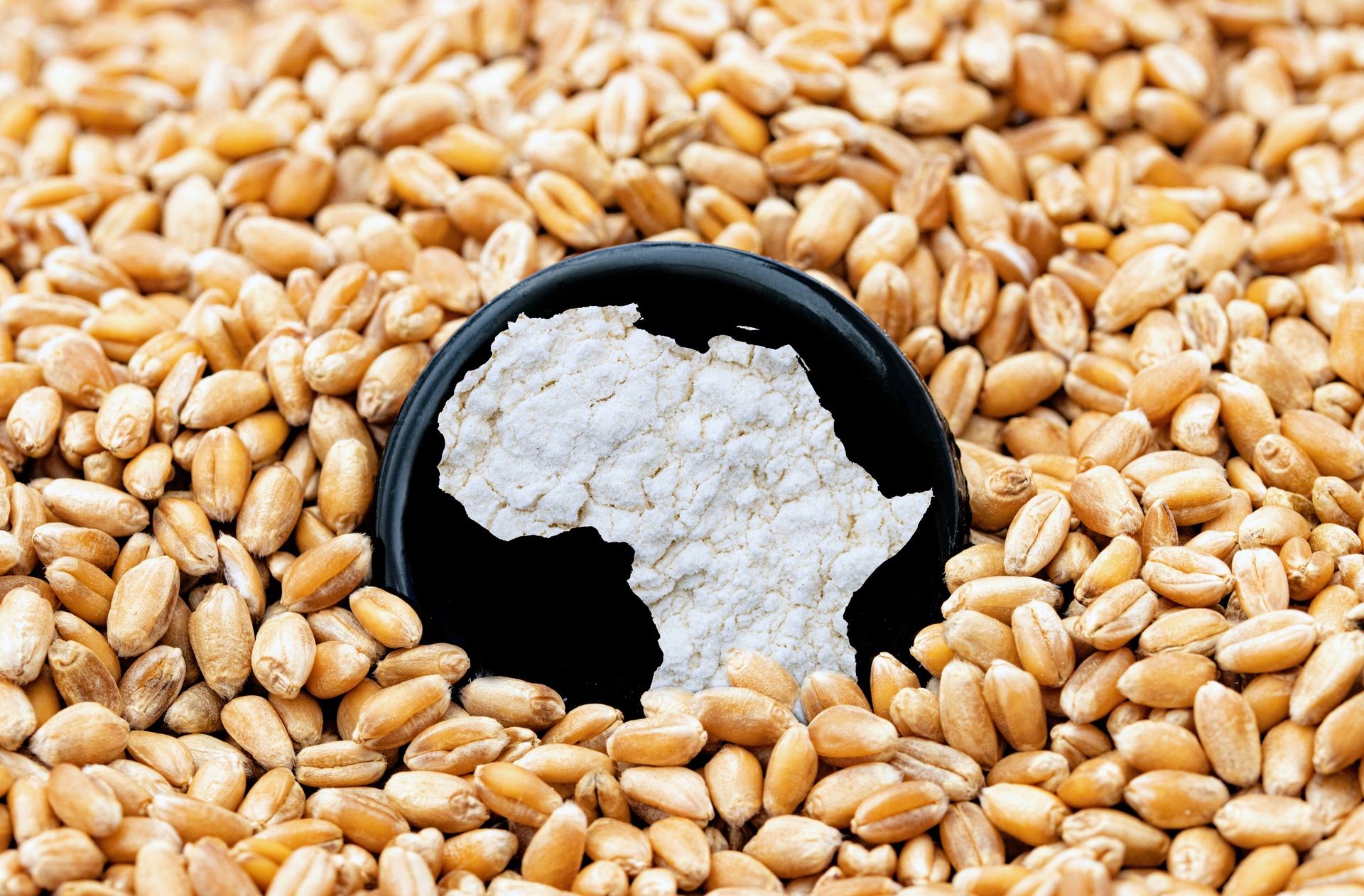 北京糧食飼料原料購(gòu)銷(xiāo)app開(kāi)發(fā)，購(gòu)銷(xiāo)一鍵連接