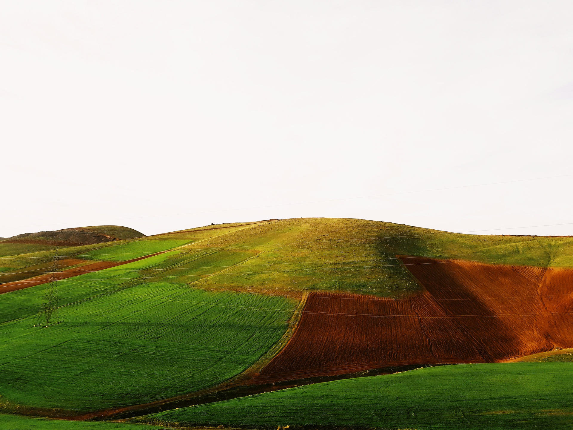 農(nóng)場運營數(shù)據(jù)統(tǒng)計