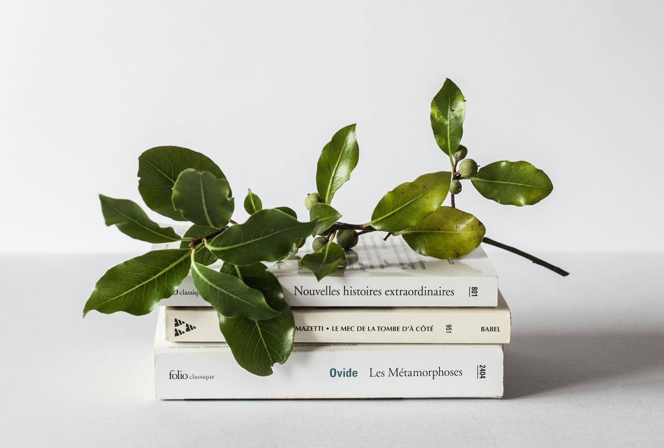 煙臺誦讀配樂小程序開發(fā)有哪些核心功能？