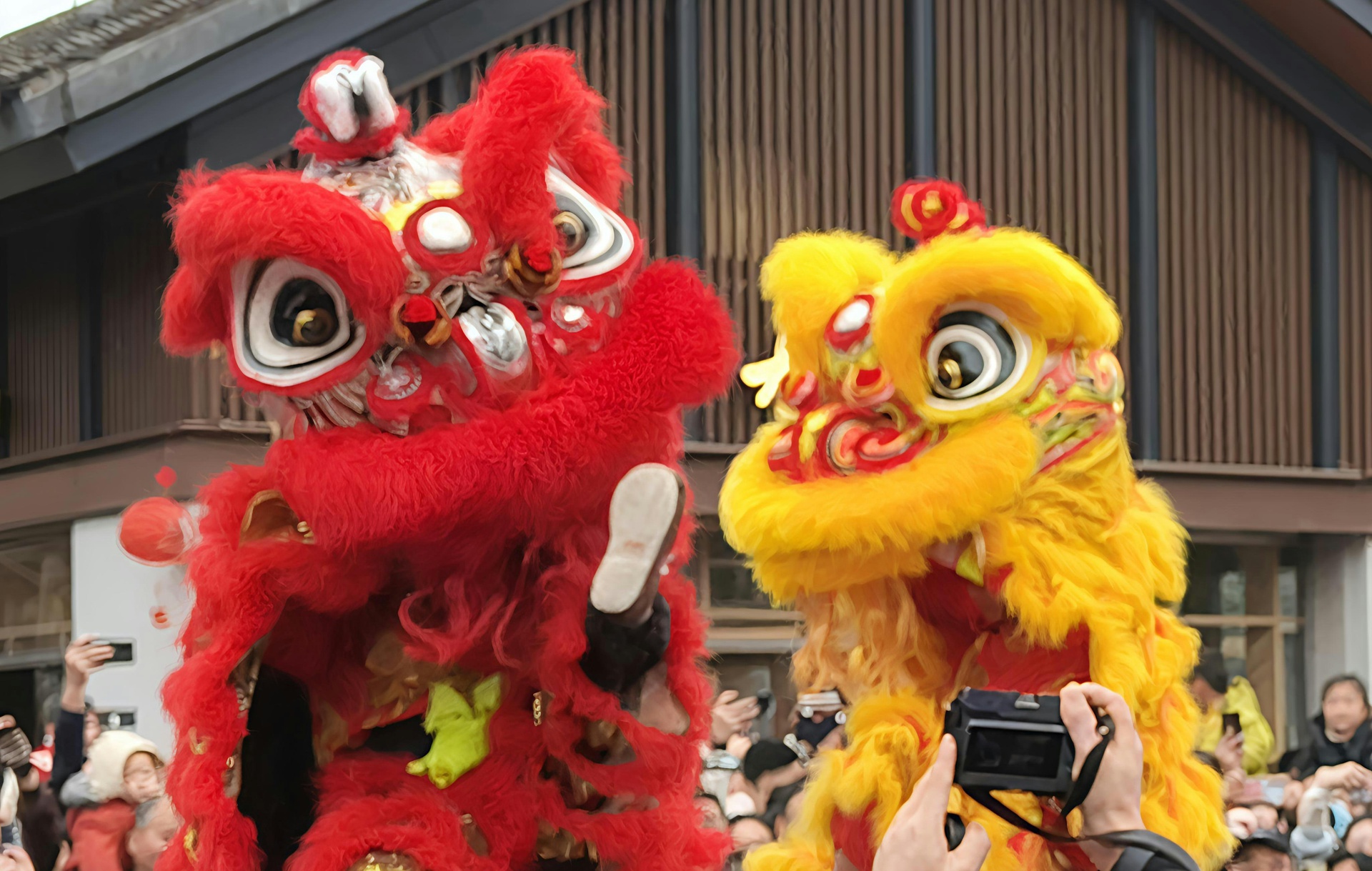 保定非遺文化信息資訊平臺(tái)App開(kāi)發(fā)的功能介紹